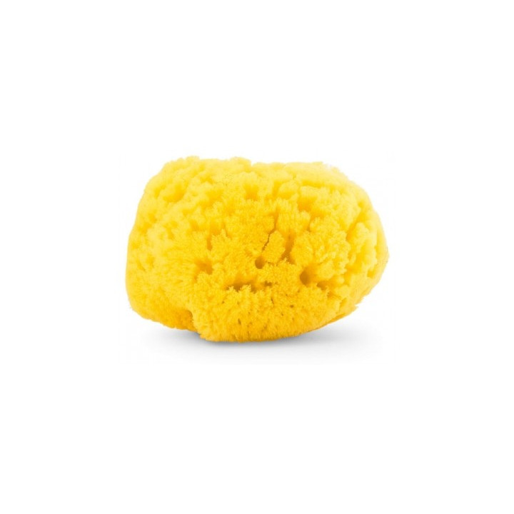 Éponge marine naturelle Chicco pour bébé