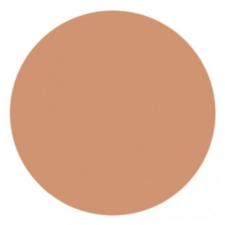 Poudre Compacte Imperméable Covermark 10g