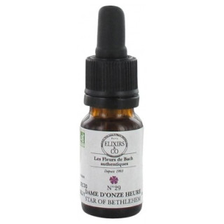 Elixirs & Co Elixirs De Bach N°29 Dame D'Onze Heure Bio 10 ml