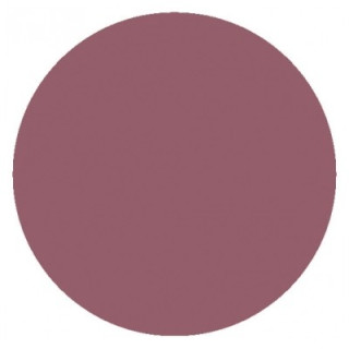 Baume Douceur Lèvres Teinté Embryolisse