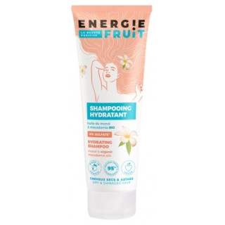 Shampoing Hydratant Energie Fruit 250ml