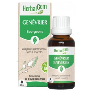 HerbalGem Bio Genévrier 30 ml - Complément Alimentaire Biologique