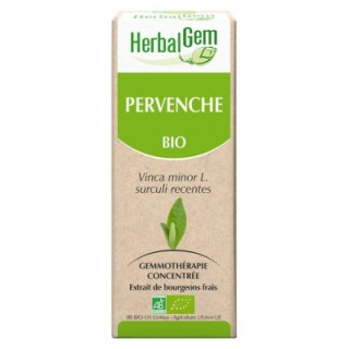 HerbalGem Bio Pervenche : complément alimentaire pour la mémoire