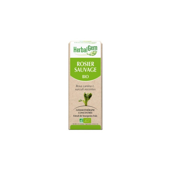 HerbalGem Bio Rosier Sauvage - Complément alimentaire biologique