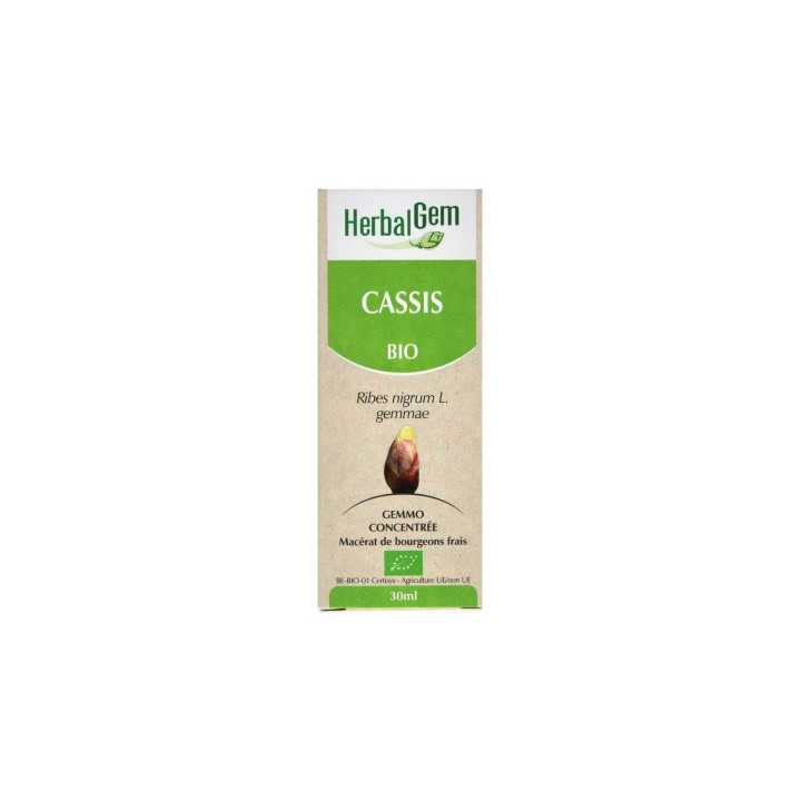 HerbalGem Cassis Bio - Complément alimentaire pour le confort articulaire