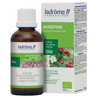 Extrait d’Aubépine Bio pour le cœur et le bien-être