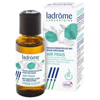 Huiles Essentielles Bio pour Diffusion Air Frais