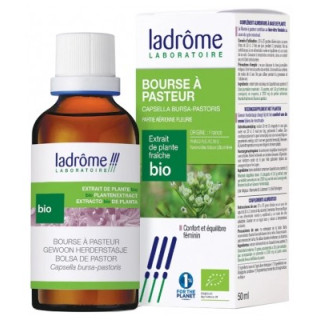 Bourse à Pasteur Bio Ladrôme