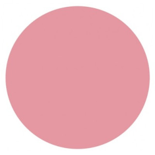 Bâtonnets Coton Bio Lotus - Hygiène Éco-Responsable