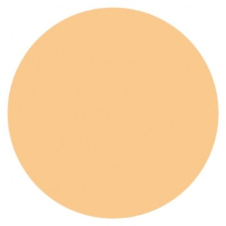 Poudre Compacte Bio Natorigin 9g - Teint unifié et lumineux