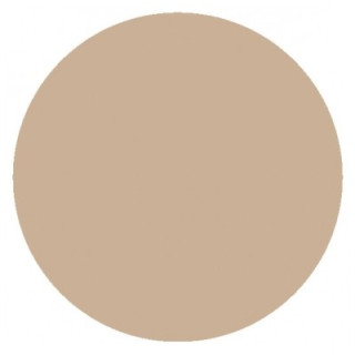 Orlane Teint Absolu Fond de Teint Soin 30ml