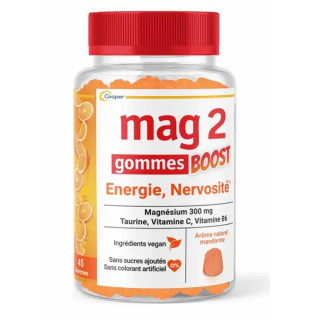 Bonbons Pimélia Miel des Champs Bio 100g