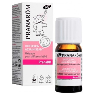 Mélange pour diffuseur PranaBB Assainissant 10 ml