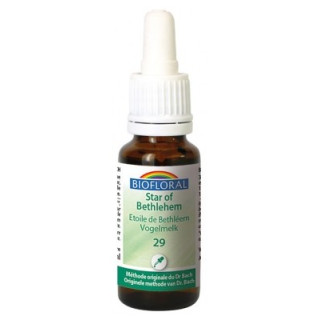 Étoile de Bethléem Bio - Fleurs de Bach N°29