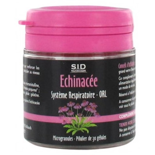 Échinacée pour la santé respiratoire