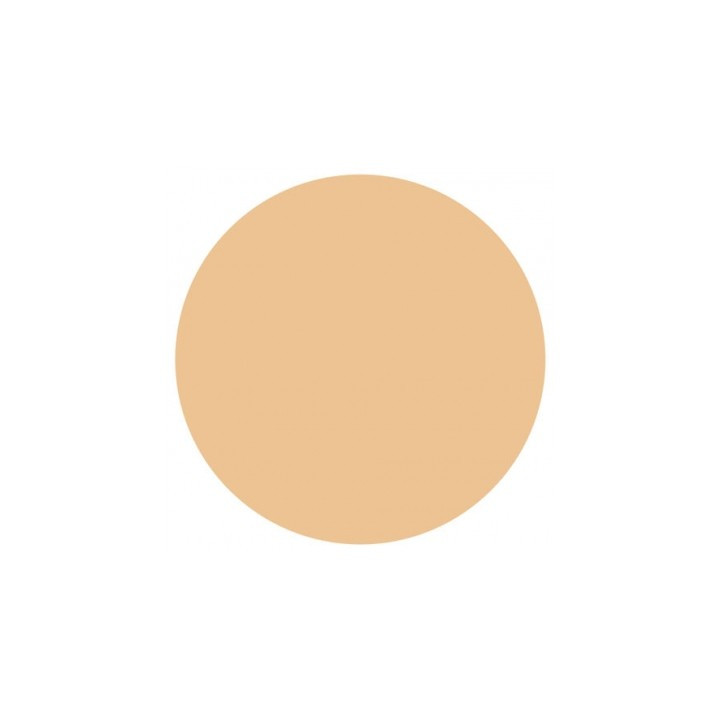 Fond de teint Vichy Dermablend 3D Correction SPF 25