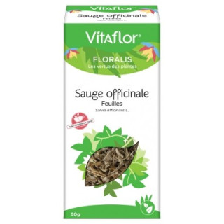 Sauge officinale en infusion