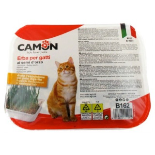 Herbe à Chats Camon pour un bien-être félin optimal