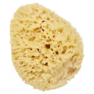 Éponge de mer naturelle Cartel Paris 14 cm