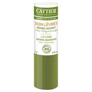 Soin des Lèvres Bio Cattier 4g