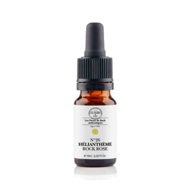 Hélianthème / Rock Rose N°26 Elixirs & Co