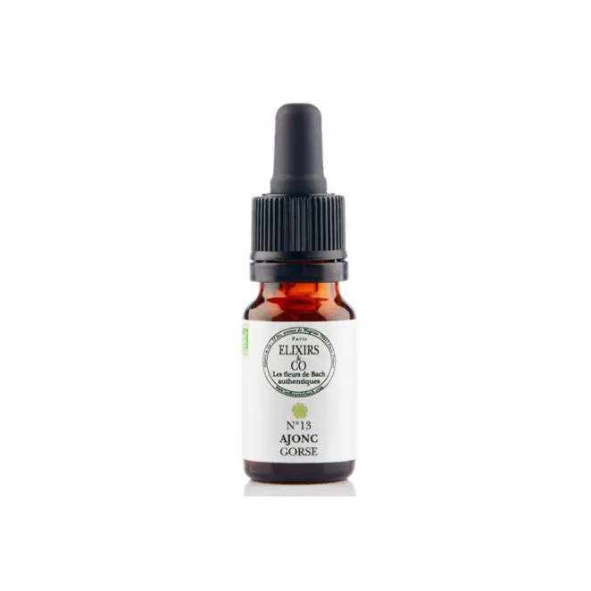 Ajonc / Gorse N°13 Elixirs & Co