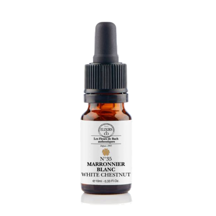 Marronnier blanc / White Chestnut N°35 Elixirs & Co