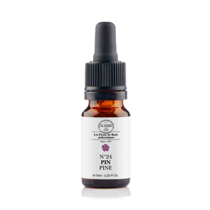 Pin / Pine N°24 Elixirs & Co