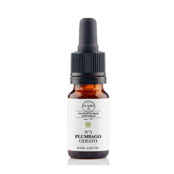 Plumbago / Cerato - N°05 Elixirs & Co