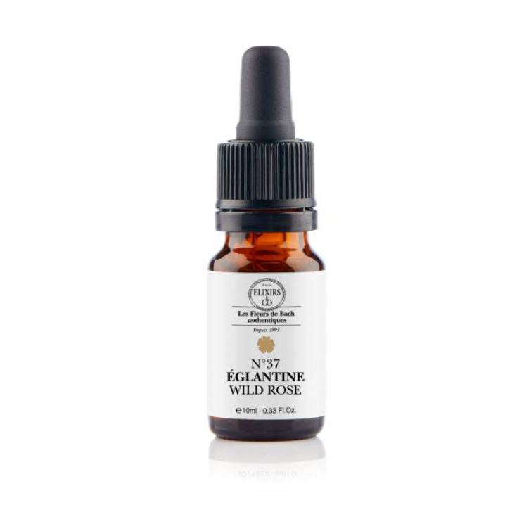 Églantine / Wild Rose N°37 Elixirs & Co