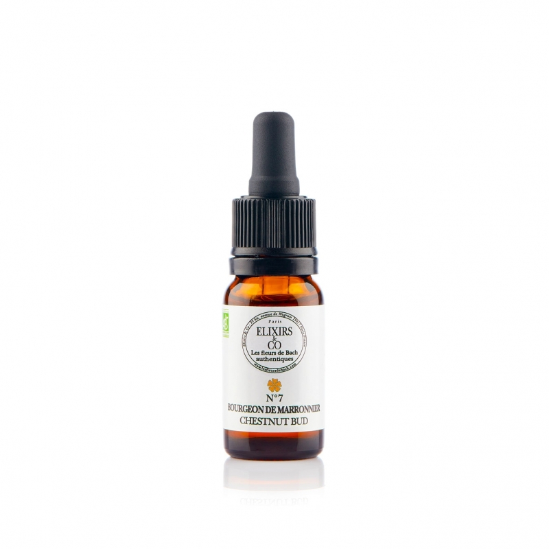 Bourgeon de Marronnier / Chestnut Bud N°07 Elixirs & Co