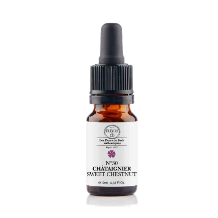 Châtaignier / Sweet Chestnut N°30 Elixirs & Co